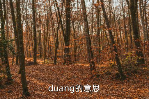 duang的意思