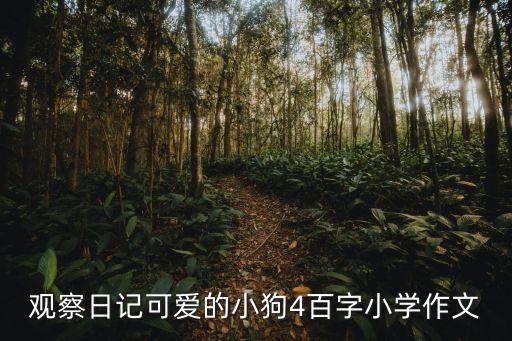 觀察日記可愛的小狗4百字小學作文