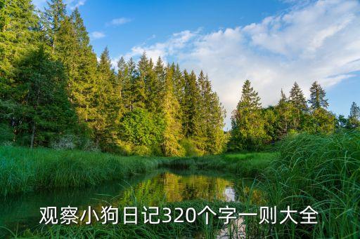 觀察小狗日記320個字一則大全