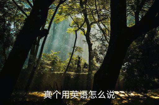 真?zhèn)€用英語怎么說