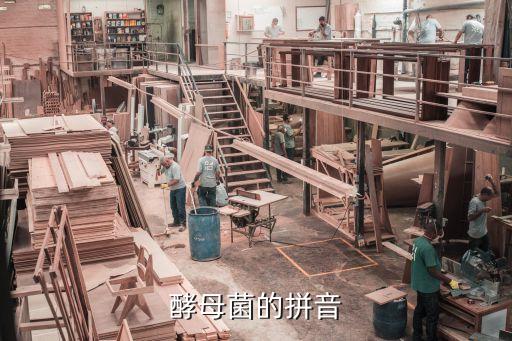 酵母菌，酵母菌是什么的真菌
