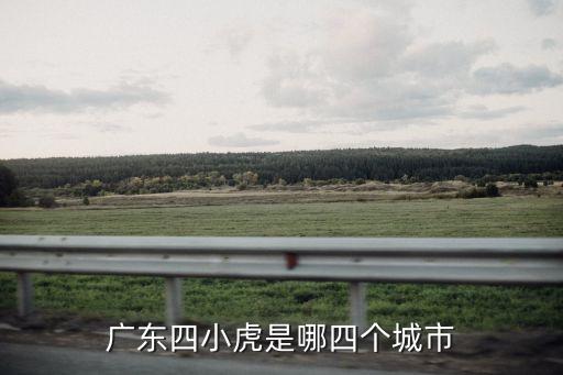 廣東四小虎是哪四個城市