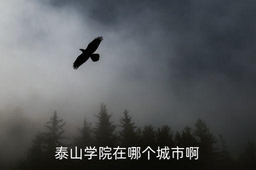泰山學(xué)院在哪個城市啊