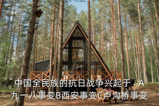 中國全民族的抗日戰(zhàn)爭興起于   A九一八事變B西安事變C盧溝橋事變