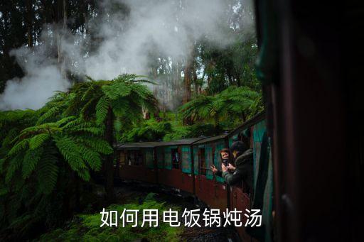 電飯鍋煲湯，用電飯煲如何煲湯