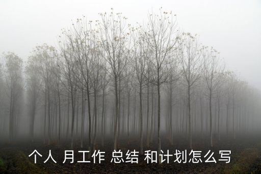 月總結(jié)模板，每月工作總結(jié)怎么寫