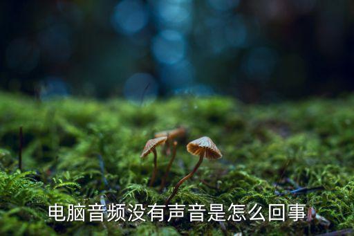 電腦沒有聲音是什么原因，電腦不出聲是什么原因引起的