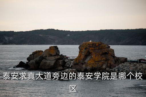 山東泰安學(xué)院，泰安求真大道旁邊的泰安學(xué)院是哪個校區(qū)