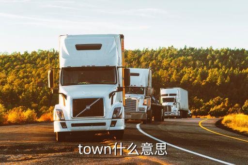 town什么意思，town怎么讀