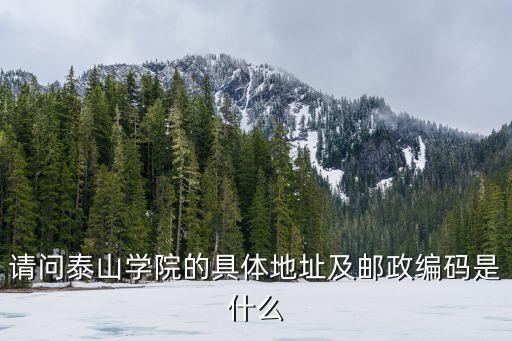 請問泰山學(xué)院的具體地址及郵政編碼是什么