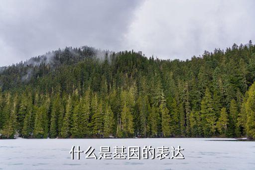 基因表達，什么是基因的表達