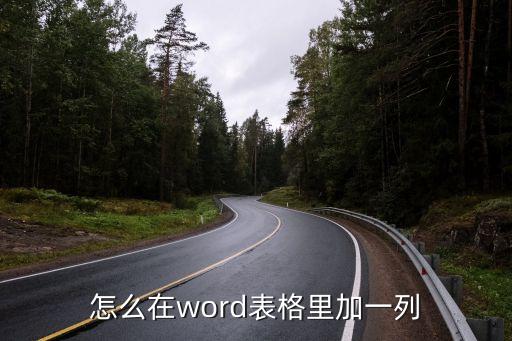 怎么在word表格里加一列