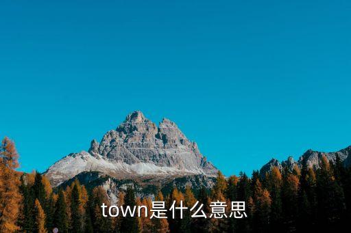 town是什么意思