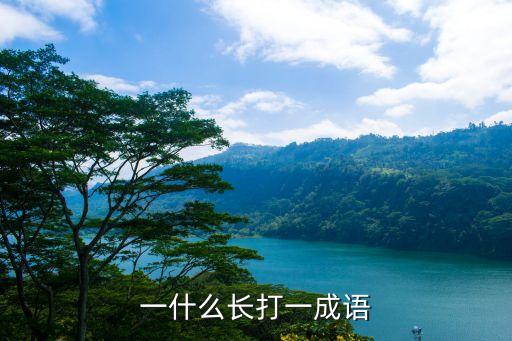 一什么長打一成語