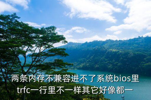 兩條內存不兼容進不了系統bios里trfc一行里不一樣其它好像都一