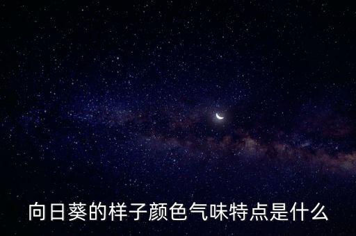 太陽花的樣子，太陽花長啥樣