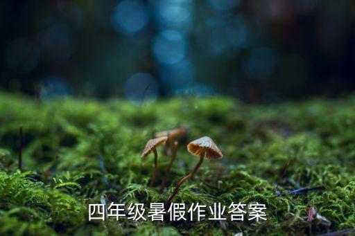四年級暑假作業答案，四年級暑假作業答案