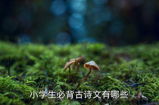 小學(xué)生必背古詩(shī)文有哪些