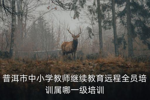 中小學教師繼續教育，普洱市中小學教師繼續教育遠程全員培訓屬哪一級培訓