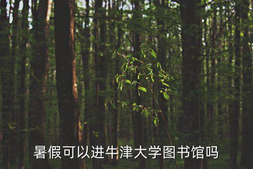 暑假可以進牛津大學圖書館嗎