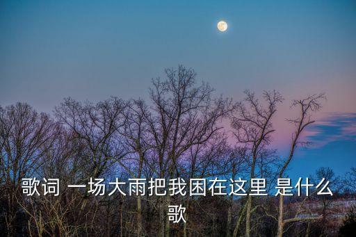 一場雨把我困在這里，一場雨 把我困在這里 你冷漠的表情 是什么歌