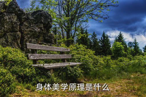 身體美學，身體美學原理是什么