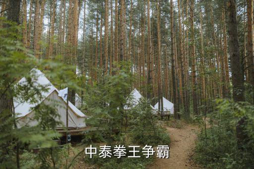 中泰搏擊爭霸賽，2011中泰拳擊爭霸賽誰贏誰負