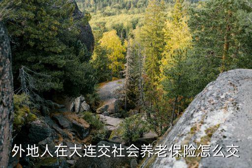 大連養(yǎng)老保險(xiǎn)，外地人在大連交社會(huì)養(yǎng)老保險(xiǎn)怎么交