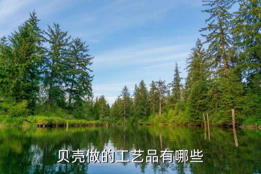 貝殼工藝品，貝殼做的工藝品有哪些