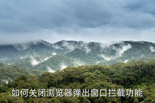 如何關(guān)閉瀏覽器彈出窗口攔截功能