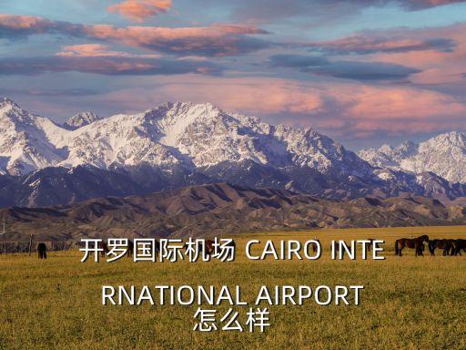 開羅國際機場 CAIRO INTERNATIONAL AIRPORT怎么樣