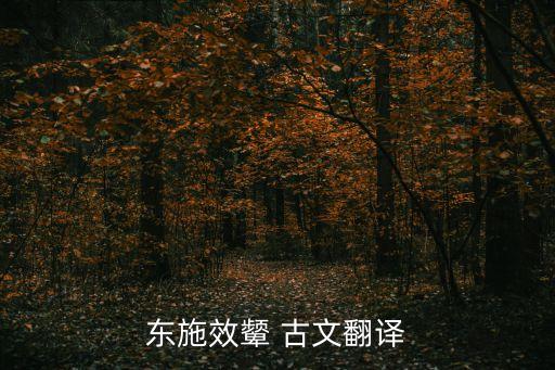 西顰東效，用一個(gè)成語形容效仿好的東西和事物