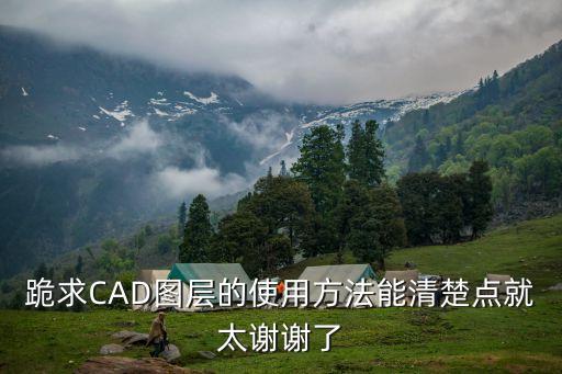 圖層的基本操作，跪求CAD圖層的使用方法能清楚點(diǎn)就太謝謝了