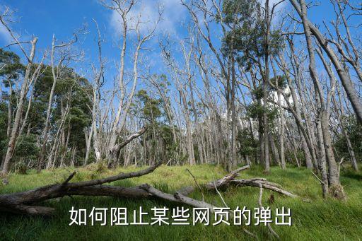 彈窗攔截，如何關閉瀏覽器彈出窗口攔截功能