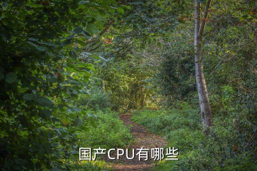 國(guó)產(chǎn)cpu，國(guó)產(chǎn)CPU有哪些啊