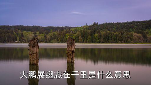什么展翅，大鵬展翅志在千里是什么意思
