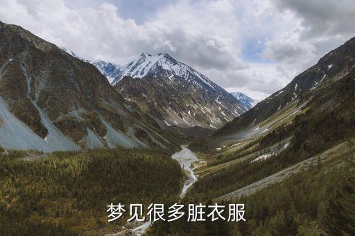 夢見很多臟衣服