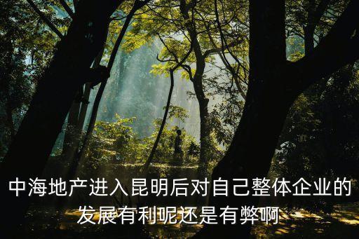 中海地產進入昆明后對自己整體企業的發展有利呢還是有弊啊
