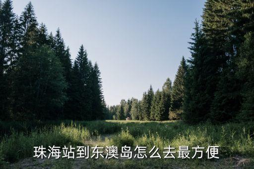 珠海東澳島，珠海站到東澳島怎么去最方便