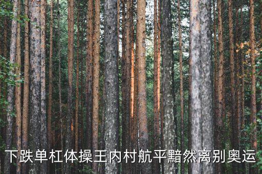 內(nèi)村航平，內(nèi)村航平羽生結(jié)弦地位