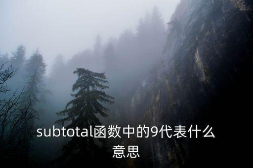 subtotal函數(shù)中的9代表什么意思