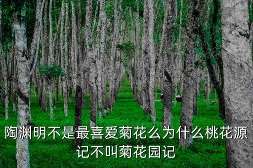 陶菊，關(guān)于陶淵明菊花詩句的賞析