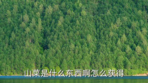 山菜是什么東西啊怎么獲得