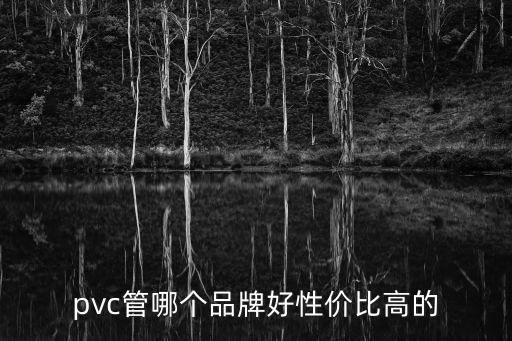 pvc管品牌，PVC管哪個(gè)牌子好