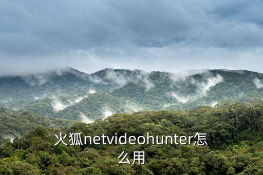 火狐netvideohunter怎么用