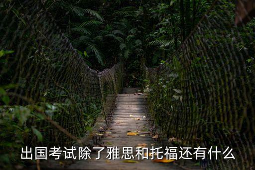 出國考試除了雅思和托福還有什么