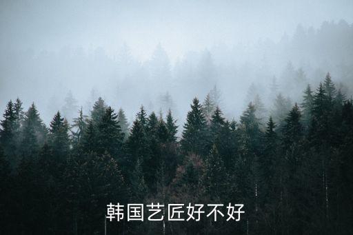 韓國藝匠，韓國藝匠好不好