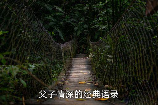 父子情深的經(jīng)典語錄