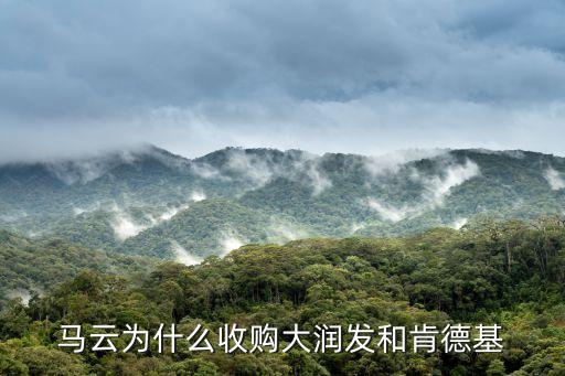 馬云為什么收購大潤發和肯德基