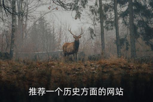 歷史網(wǎng)，哪個歷史網(wǎng)站比較好